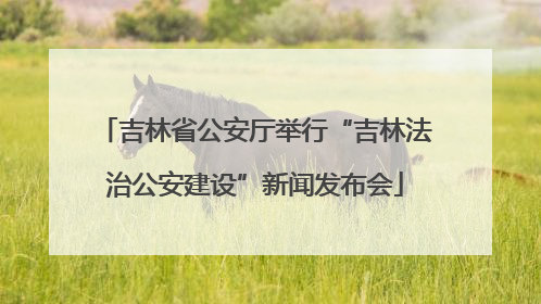 吉林省公安厅举行“吉林法治公安建设”新闻发布会