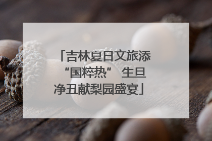 吉林夏日文旅添“国粹热” 生旦净丑献梨园盛宴