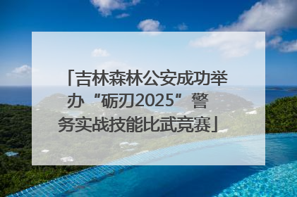 吉林森林公安成功举办“砺刃2025”警务实战技能比武竞赛