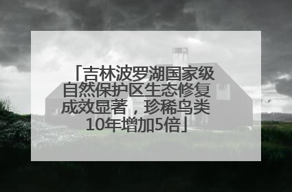 吉林波罗湖国家级自然保护区生态修复成效显著，珍稀鸟类10年增加5倍