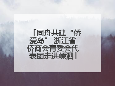 同舟共建“侨爱岛” 浙江省侨商会青委会代表团走进嵊泗
