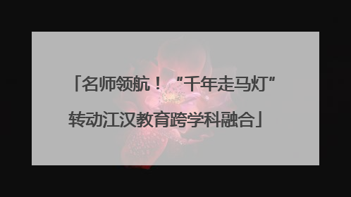 名师领航！“千年走马灯”转动江汉教育跨学科融合