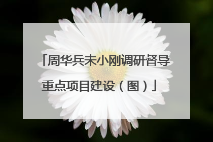 周华兵未小刚调研督导重点项目建设（图）