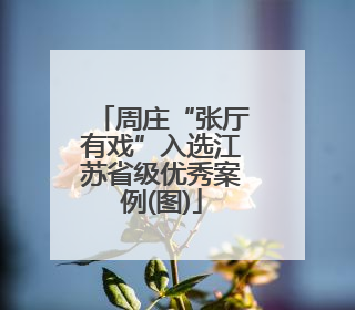 周庄“张厅有戏”入选江苏省级优秀案例(图)