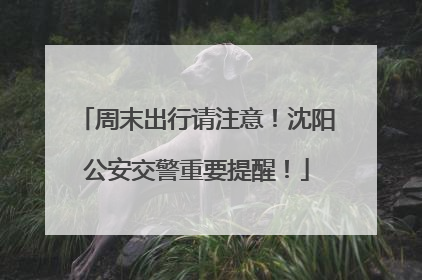 周末出行请注意！沈阳公安交警重要提醒！