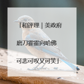 和评理｜美政府磨刀霍霍向哈佛 可悲可叹又可笑