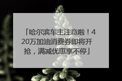 哈尔滨车主注意啦！420万加油消费券即将开抢，满减优惠享不停