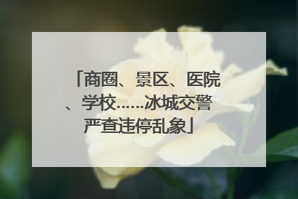 商圈、景区、医院、学校……冰城交警严查违停乱象