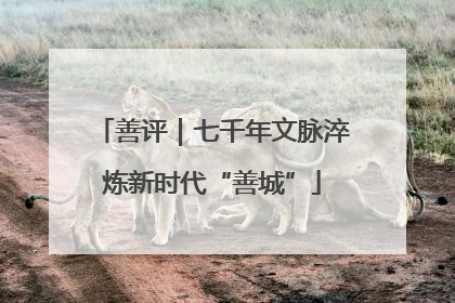 善评｜七千年文脉淬炼新时代“善城”