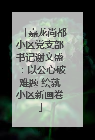 嘉龙尚都小区党支部书记谢文盛：以公心破难题 绘就小区新画卷