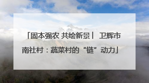 固本强农 共绘新景 ︳卫辉市南社村：蔬菜村的“链”动力