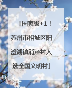 国家级+1！苏州市相城区阳澄湖镇消泾村入选全国文明村