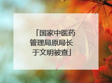 国家中医药管理局原局长于文明被查