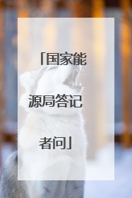 国家能源局答记者问