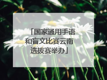 国家通用手语和盲文比赛云南选拔赛举办