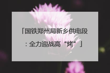 国铁郑州局新乡供电段：全力迎战高“烤”