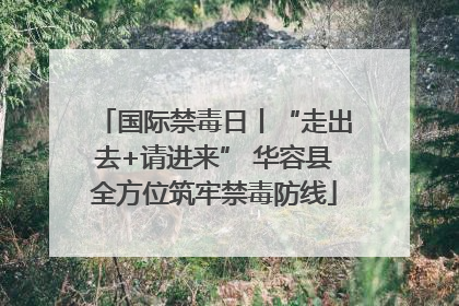 国际禁毒日丨“走出去+请进来” 华容县全方位筑牢禁毒防线