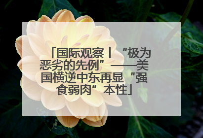 国际观察丨“极为恶劣的先例”——美国横逆中东再显“强食弱肉”本性