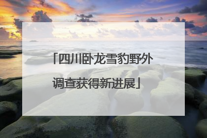 四川卧龙雪豹野外调查获得新进展