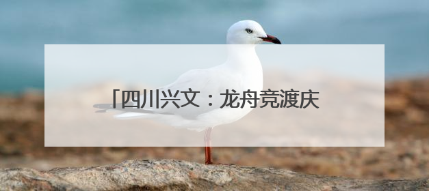 四川兴文：龙舟竞渡庆端午 多彩活动过佳节