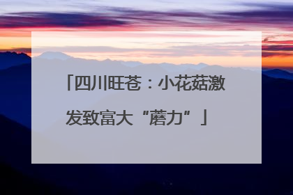 四川旺苍：小花菇激发致富大“蘑力”