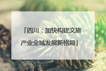 四川：加快构建文旅产业全域发展新格局
