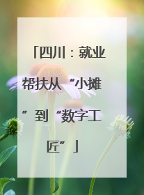 四川：就业帮扶从“小摊”到“数字工匠”