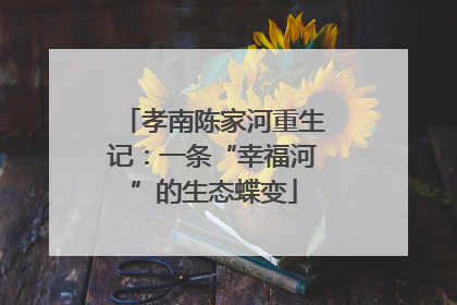 孝南陈家河重生记：一条“幸福河”的生态蝶变