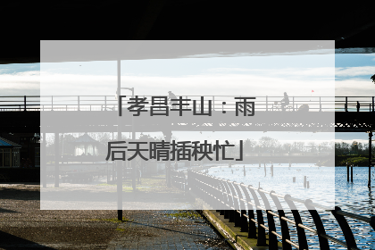 孝昌丰山：雨后天晴插秧忙