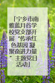 宁乡市南雅蓝月谷学校党支部开展“传承红色基因 凝聚奋进力量”主题党日活动