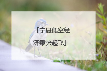 宁夏低空经济乘势起飞