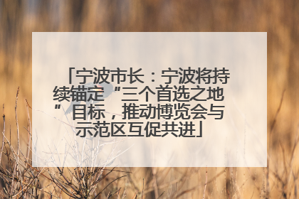 宁波市长：宁波将持续锚定“三个首选之地”目标，推动博览会与示范区互促共进