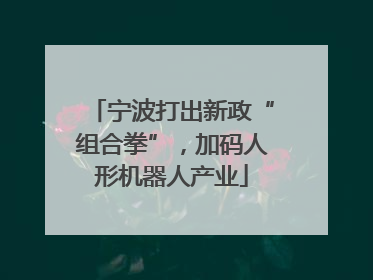 宁波打出新政“组合拳”，加码人形机器人产业