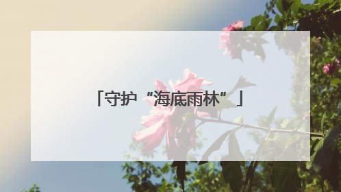 守护“海底雨林”