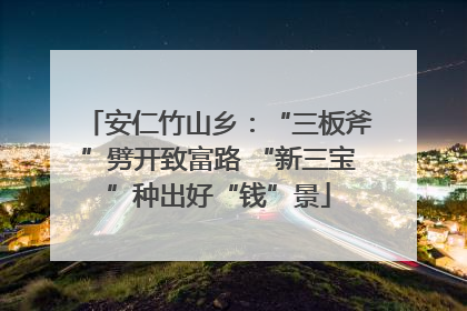 安仁竹山乡：“三板斧”劈开致富路 “新三宝”种出好“钱”景
