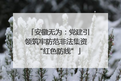 安徽无为：党建引领筑牢防范非法集资“红色防线”
