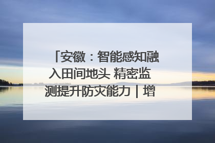 安徽：智能感知融入田间地头 精密监测提升防灾能力｜增发国债气象项目落地见效系列报道