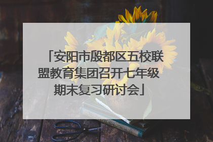 安阳市殷都区五校联盟教育集团召开七年级期末复习研讨会