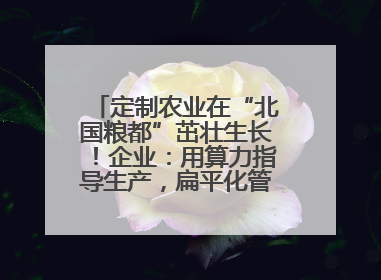 定制农业在“北国粮都”茁壮生长！企业：用算力指导生产，扁平化管理种地