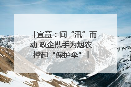 宜章：闻“汛”而动 政企携手为烟农撑起“保护伞”