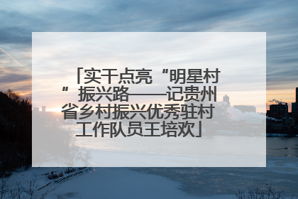 实干点亮“明星村”振兴路——记贵州省乡村振兴优秀驻村工作队员王培欢