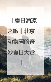 夏日清凉之旅丨北京动物园的奇妙夏日大赏