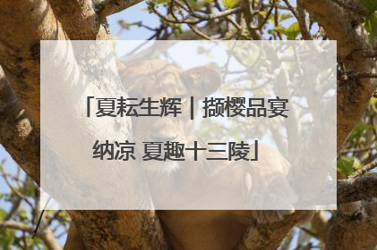 夏耘生辉｜撷樱品宴纳凉 夏趣十三陵