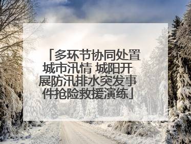 多环节协同处置城市汛情 城阳开展防汛排水突发事件抢险救援演练