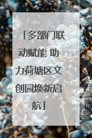 多部门联动赋能 助力荷塘区文创园焕新启航