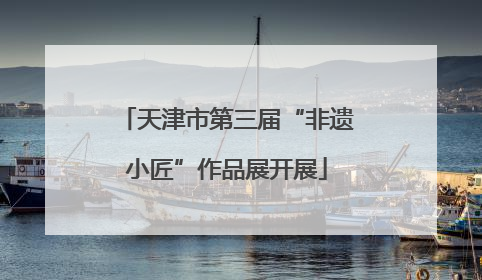 天津市第三届“非遗小匠”作品展开展