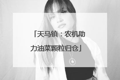 天马镇：农机助力油菜颗粒归仓