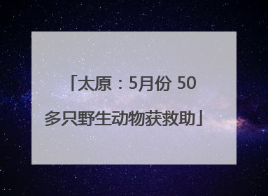 太原：5月份 50多只野生动物获救助