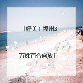 好美！福州3万株百合盛放