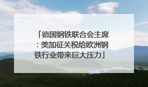 德国钢铁联合会主席：美加征关税给欧洲钢铁行业带来巨大压力